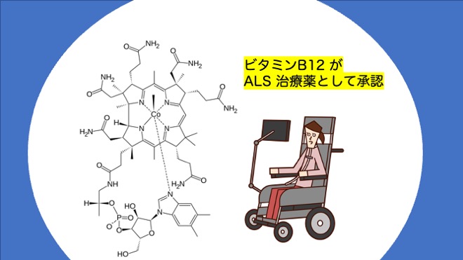 ALS治療薬　作用機序